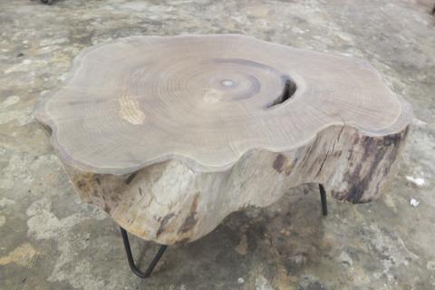 Uniek houten meubel salontafel - Len Etienne